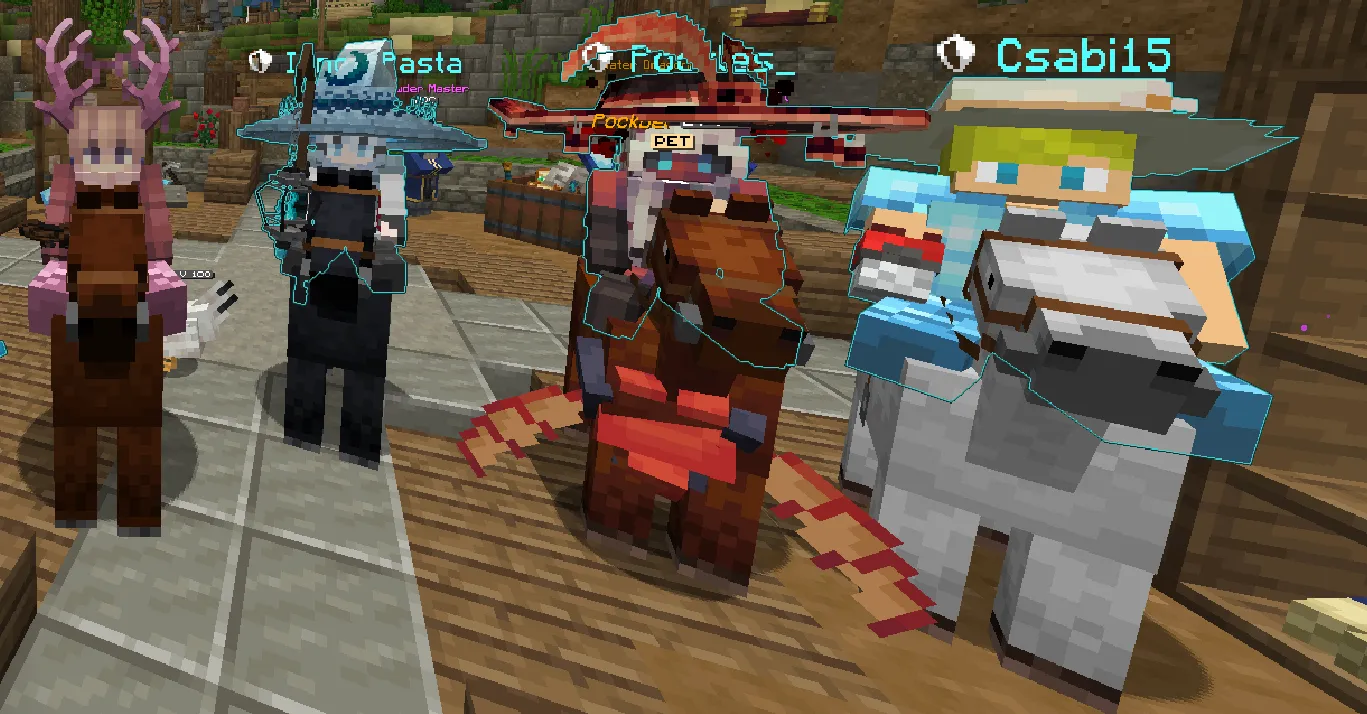 All 4 types of horses