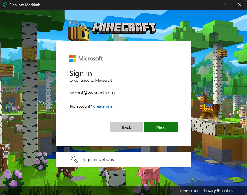 The Microsoft login UI